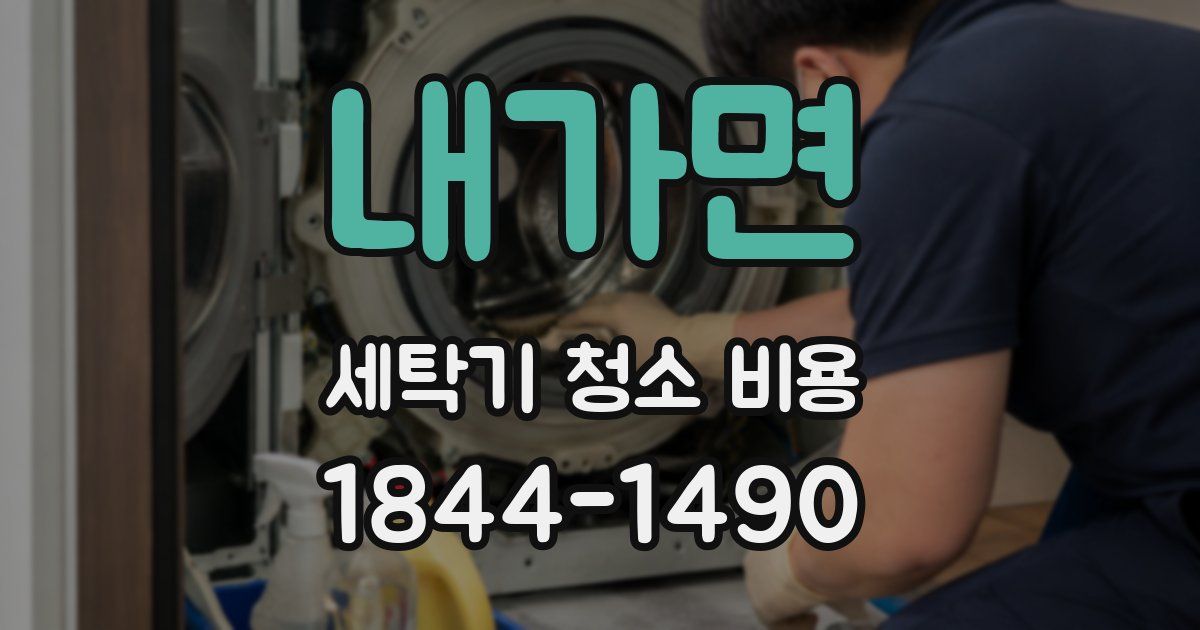 내가면 세탁기 청소 비용