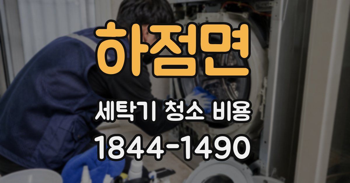 하점면 세탁기 청소 비용