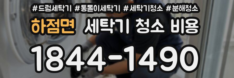 하점면 세탁기 청소 비용