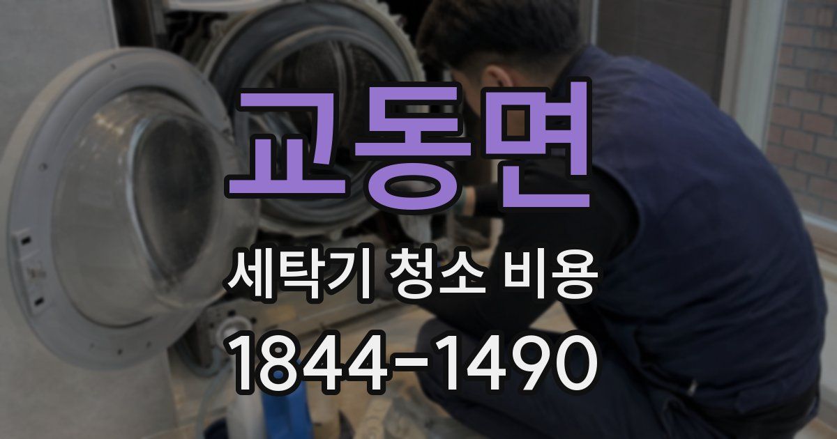 교동면 세탁기 청소 비용