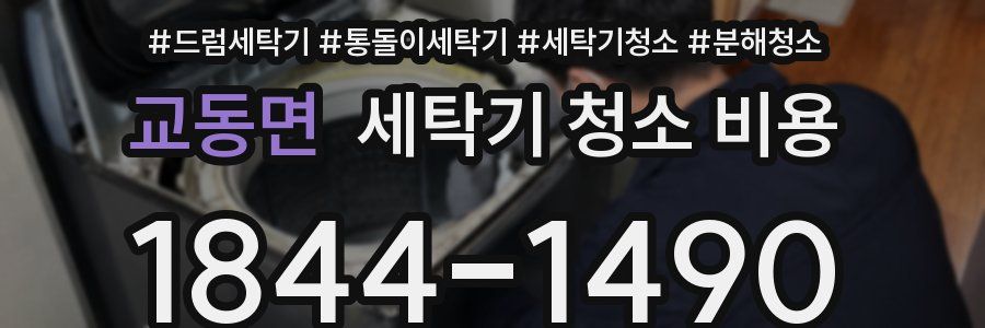 교동면 세탁기 청소 비용