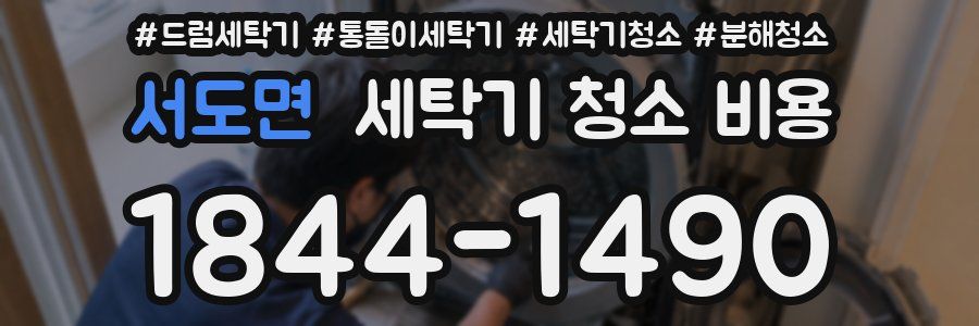 서도면 세탁기 청소 비용