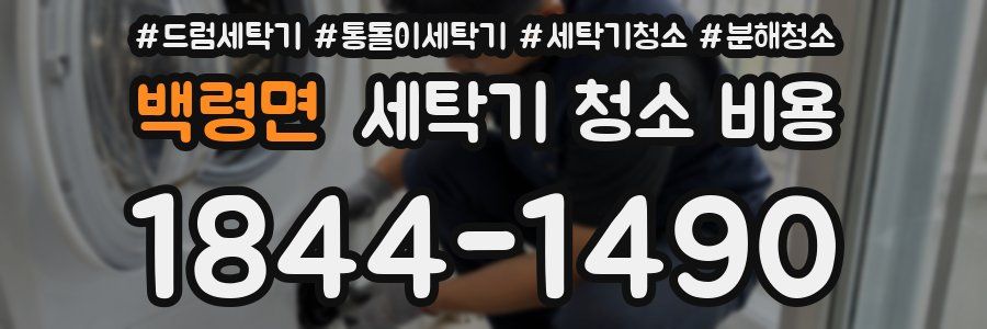 백령면 세탁기 청소 비용