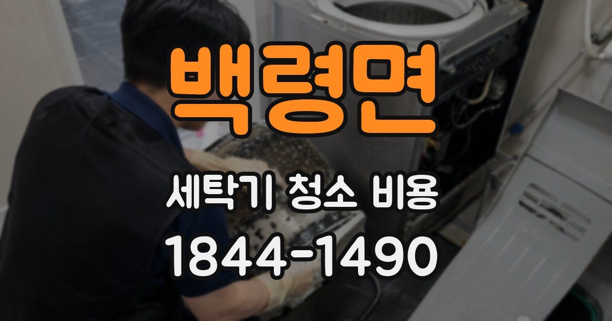 백령면 세탁기 청소 비용