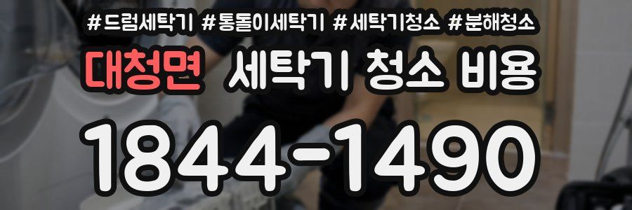 대청면 세탁기 청소 비용