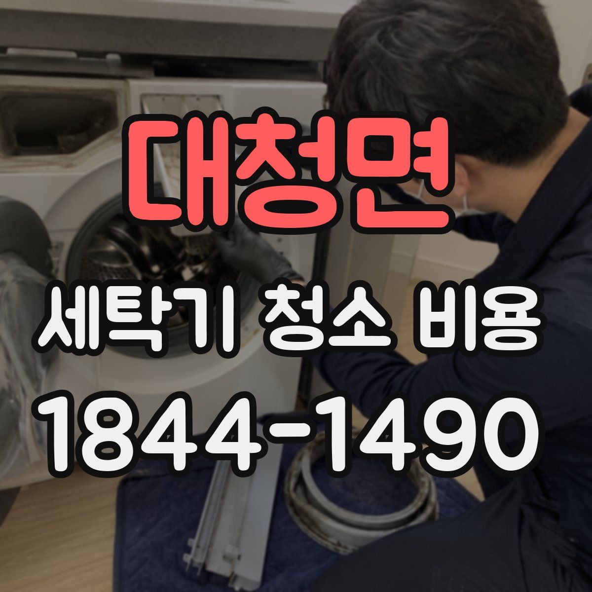 대청면 세탁기 청소 비용