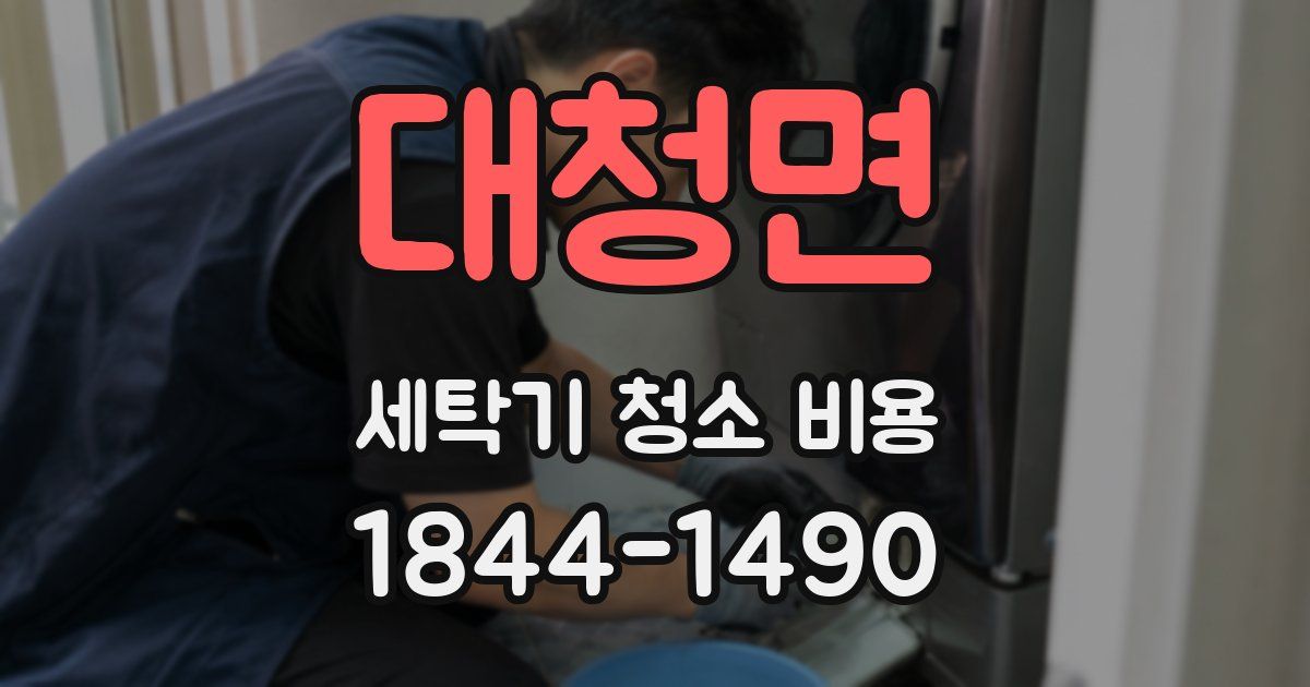 대청면 세탁기 청소 비용
