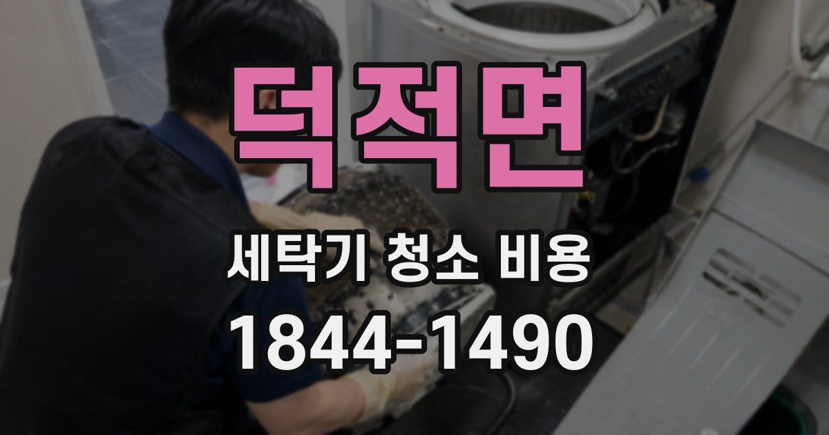 덕적면 세탁기 청소 비용