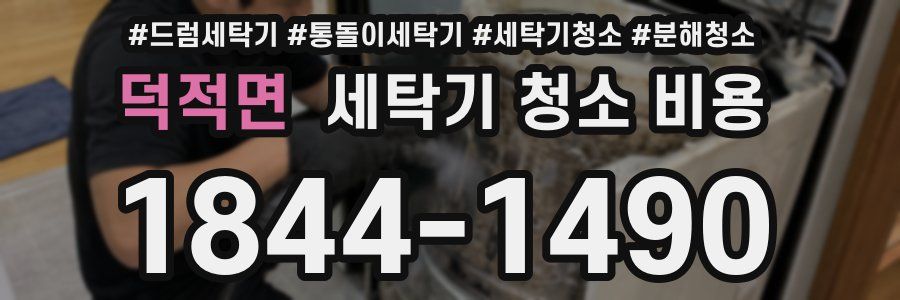 덕적면 세탁기 청소 비용