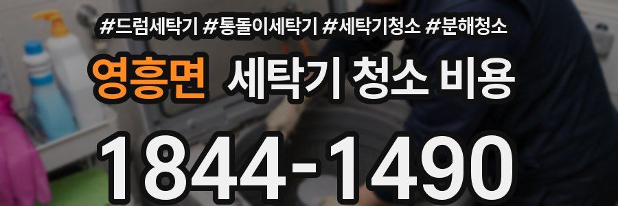 영흥면 세탁기 청소 비용