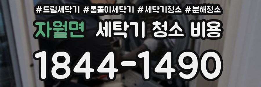 자월면 세탁기 청소 비용