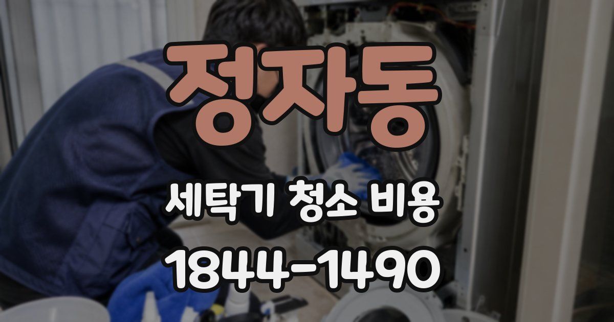 정자동 세탁기 청소 비용