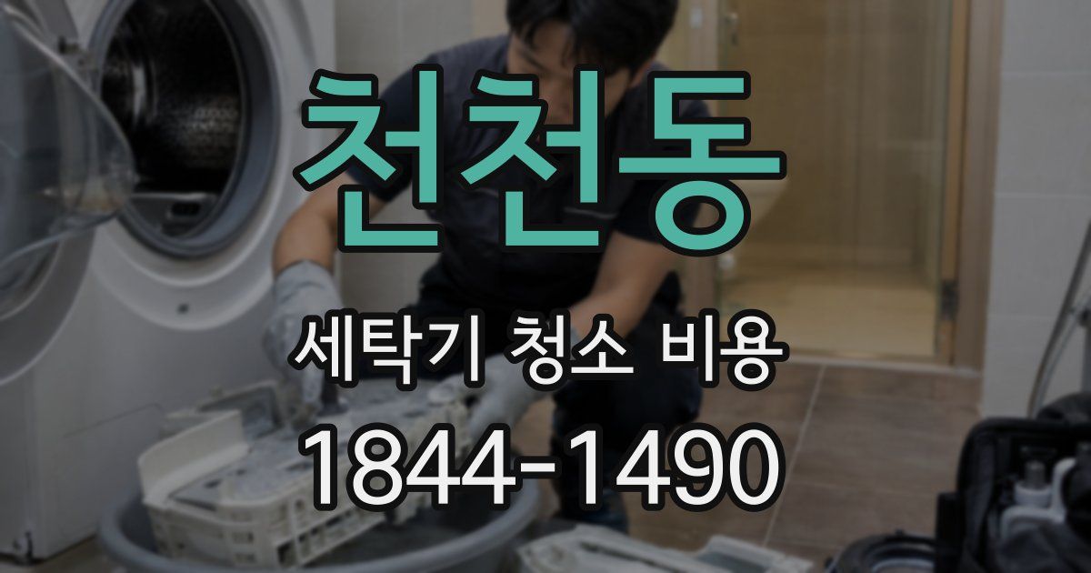 천천동 세탁기 청소 비용