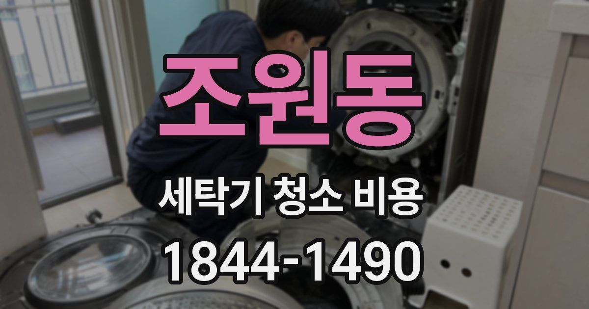 조원동 세탁기 청소 비용