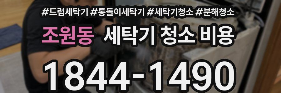 조원동 세탁기 청소 비용