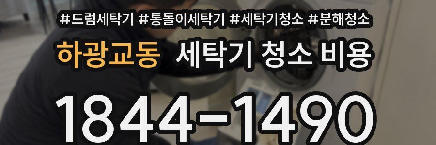 하광교동 세탁기 청소 비용