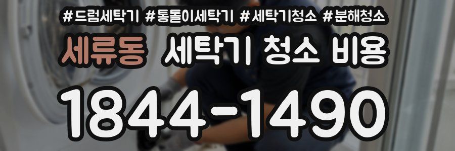 세류동 세탁기 청소 비용