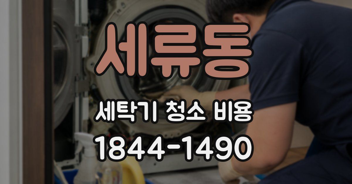 세류동 세탁기 청소 비용