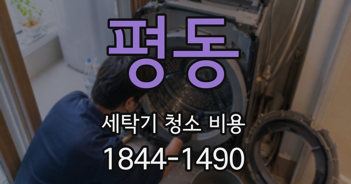 평동 세탁기 청소 비용