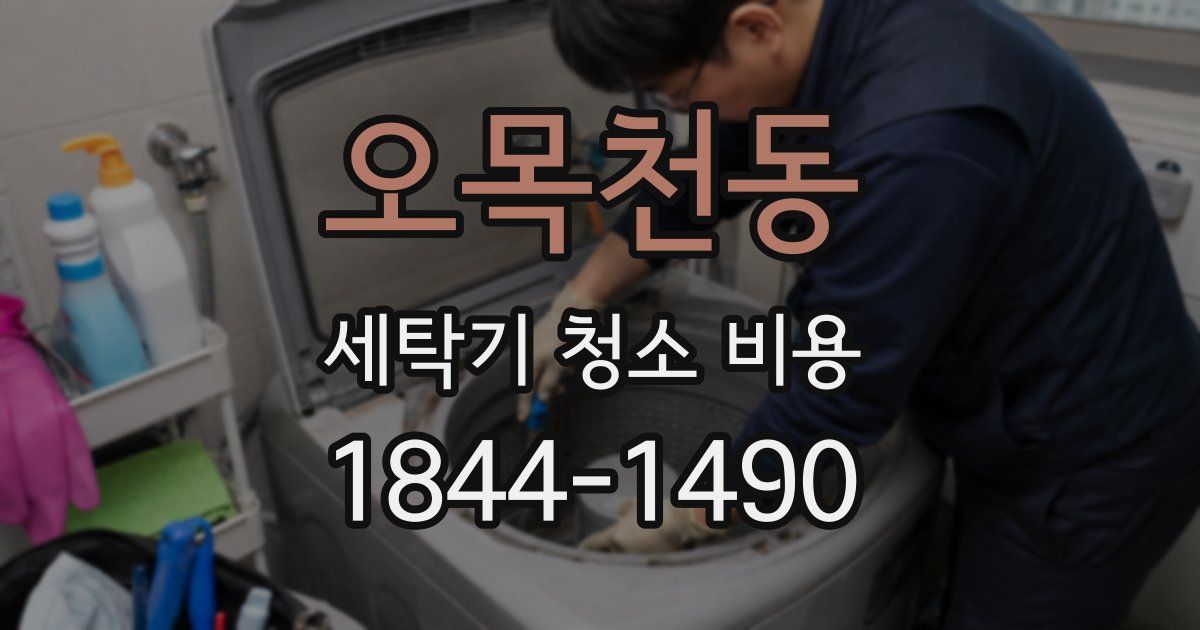오목천동 세탁기 청소 비용