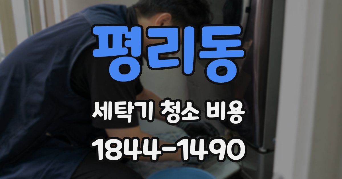 평리동 세탁기 청소 비용