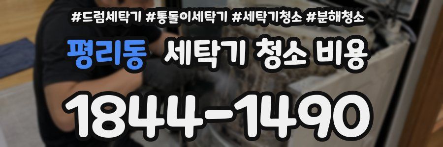 평리동 세탁기 청소 비용
