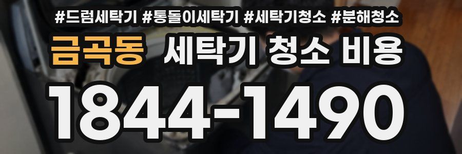 금곡동 세탁기 청소 비용