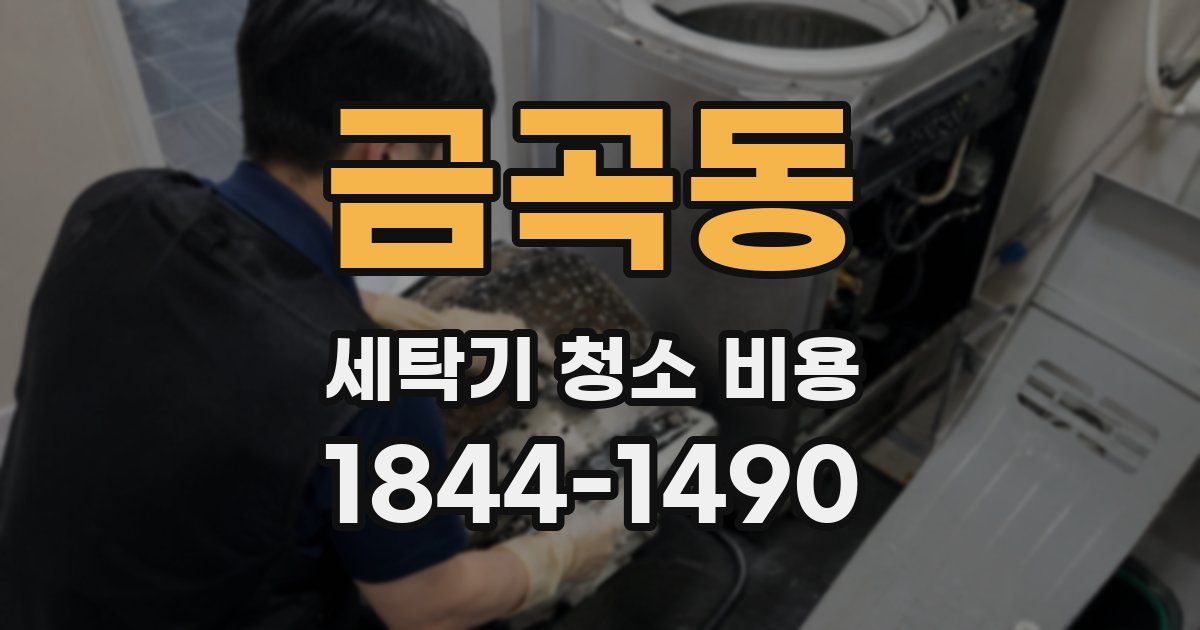 금곡동 세탁기 청소 비용