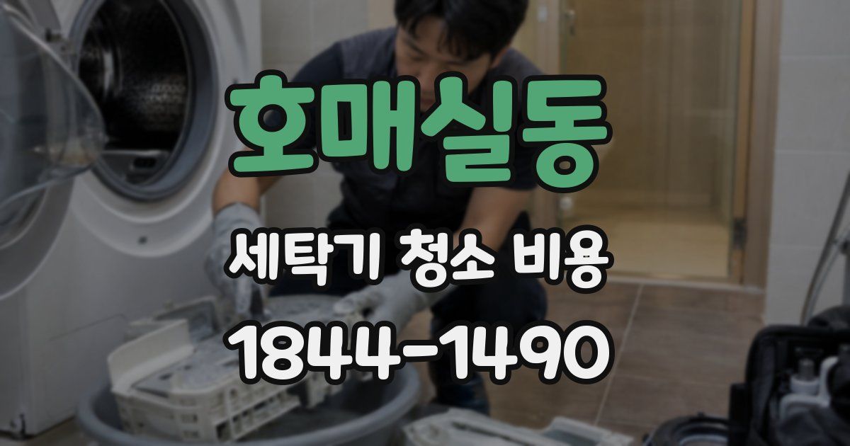 호매실동 세탁기 청소 비용