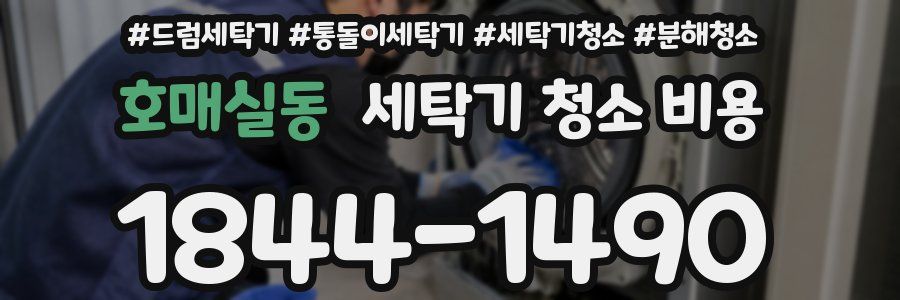 호매실동 세탁기 청소 비용