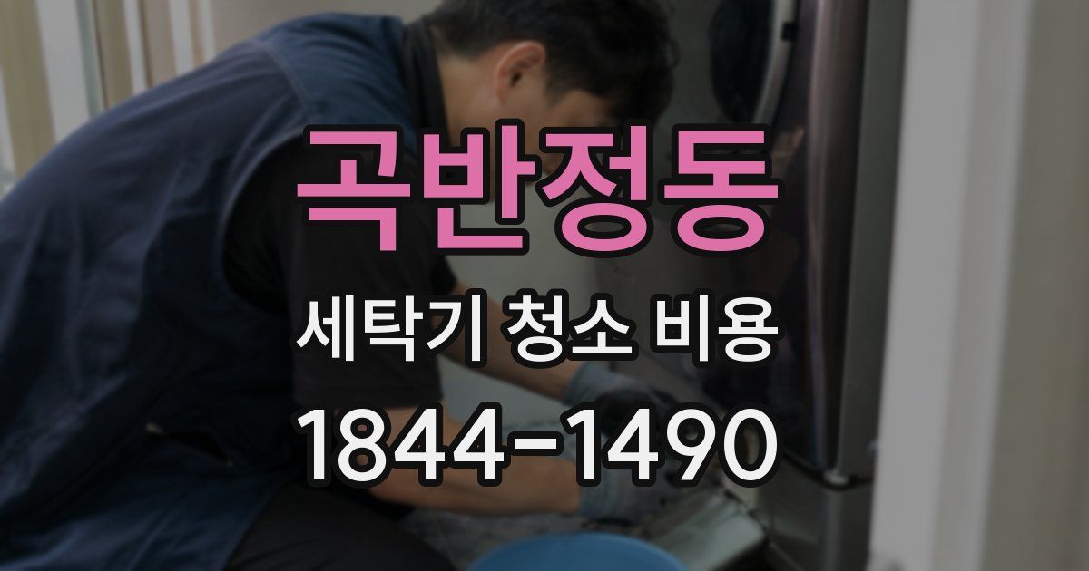 곡반정동 세탁기 청소 비용