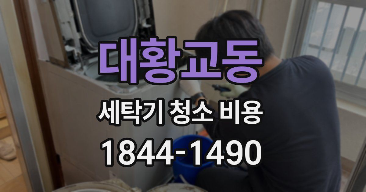 대황교동 세탁기 청소 비용