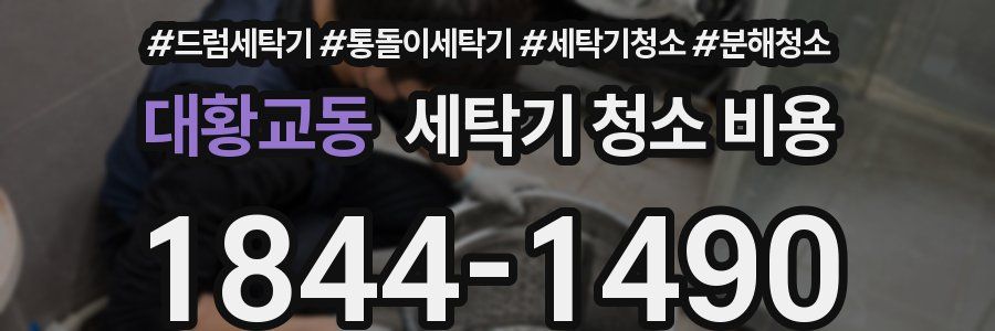 대황교동 세탁기 청소 비용
