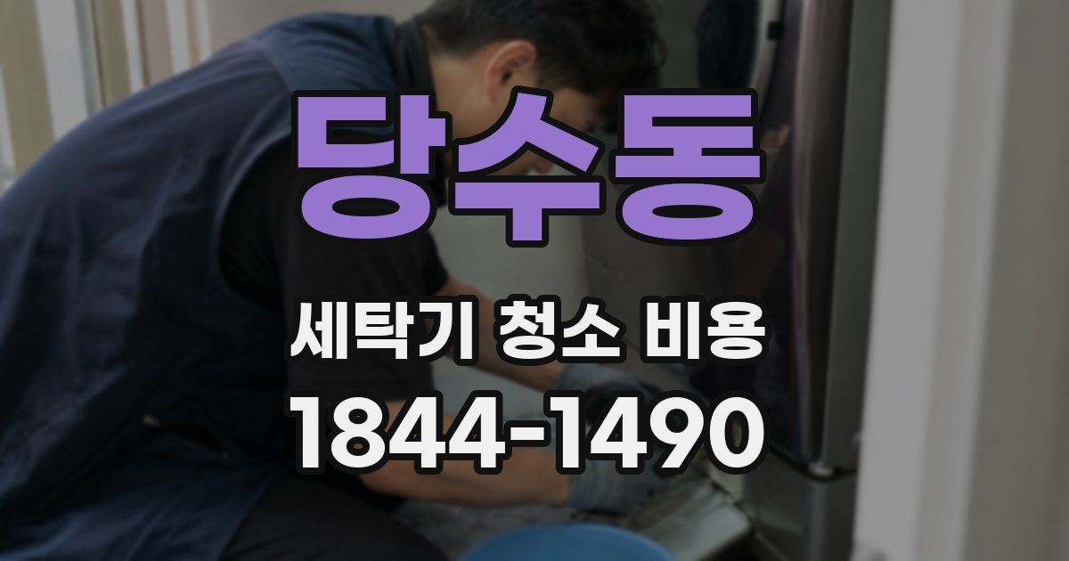 당수동 세탁기 청소 비용