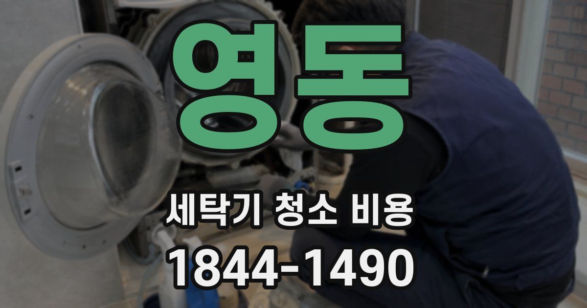 영동 세탁기 청소 비용