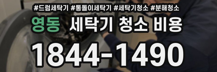 영동 세탁기 청소 비용