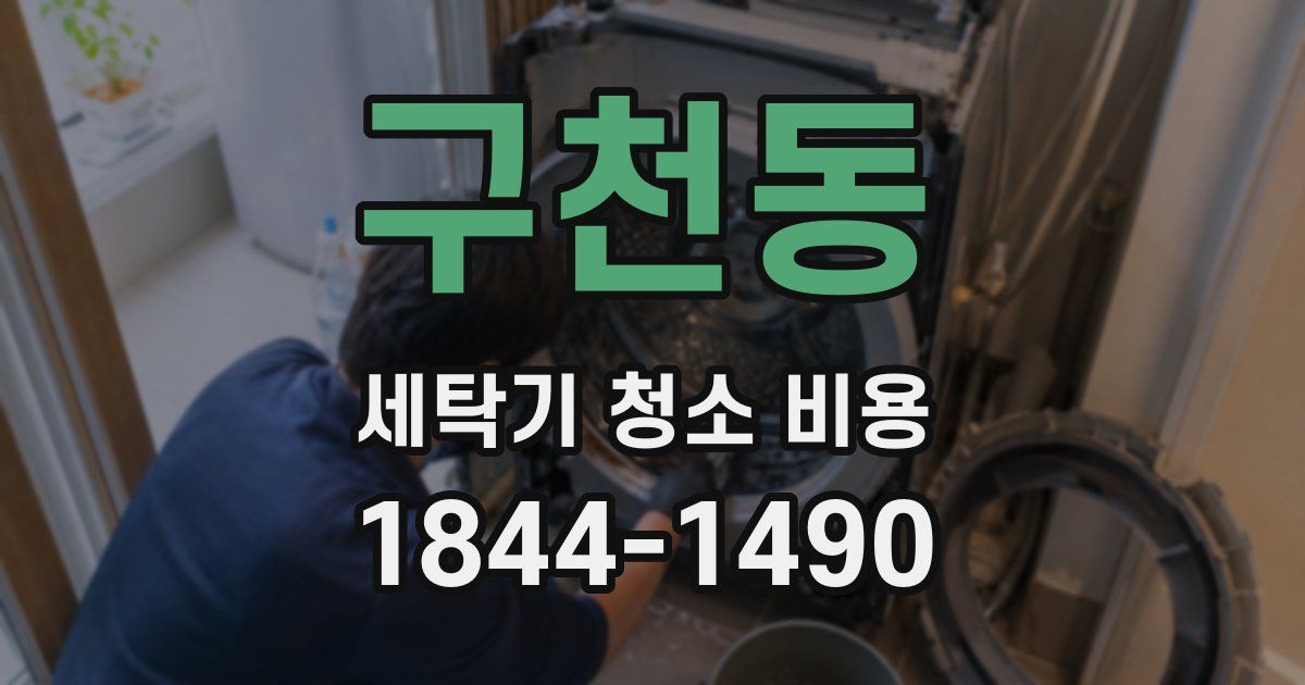 구천동 세탁기 청소 비용