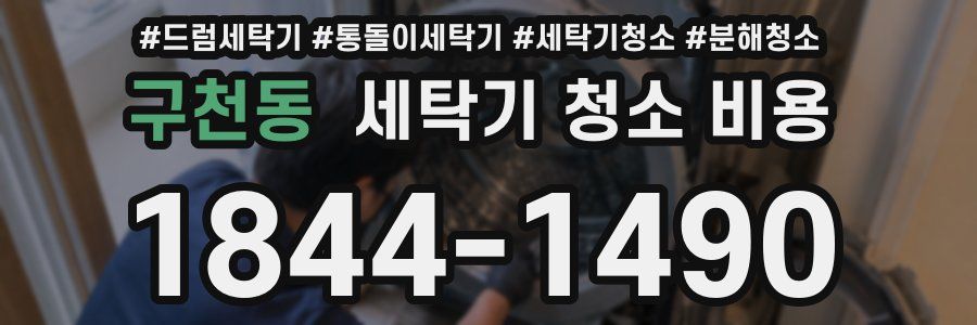 구천동 세탁기 청소 비용
