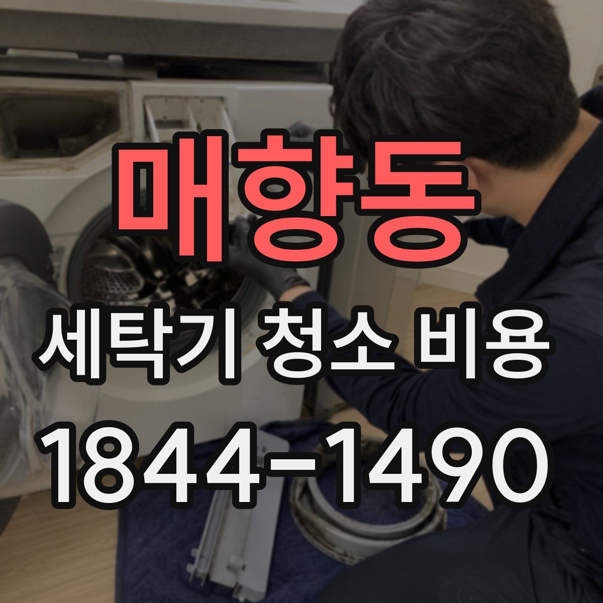 매향동 세탁기 청소 비용