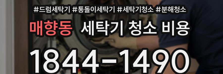 매향동 세탁기 청소 비용