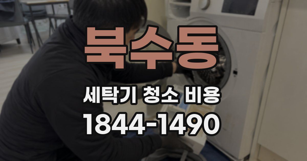 북수동 세탁기 청소 비용