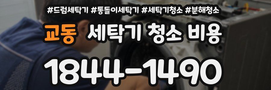 교동 세탁기 청소 비용