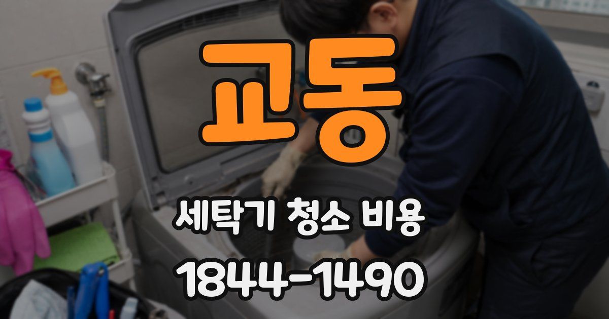 교동 세탁기 청소 비용