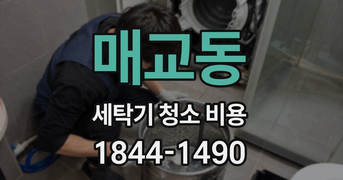 매교동 세탁기 청소 비용