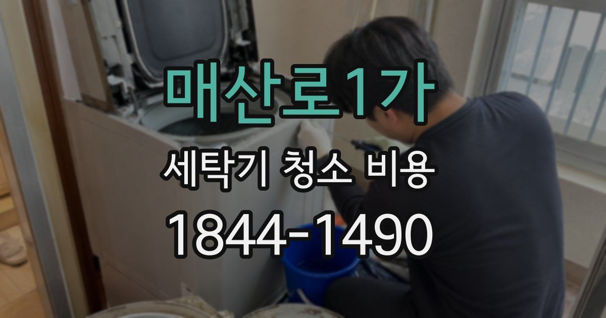 매산로1가 세탁기 청소 비용