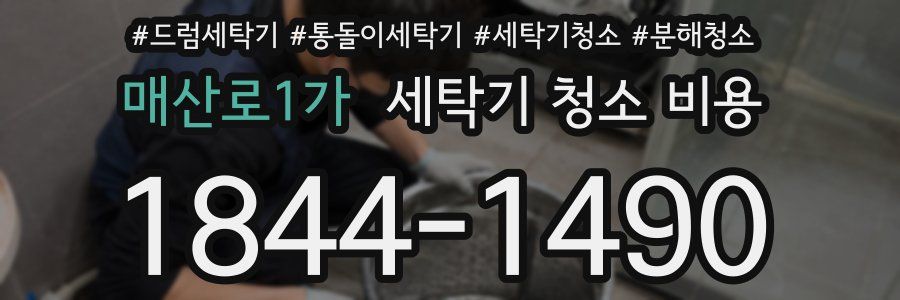 매산로1가 세탁기 청소 비용