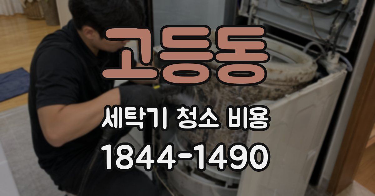 고등동 세탁기 청소 비용