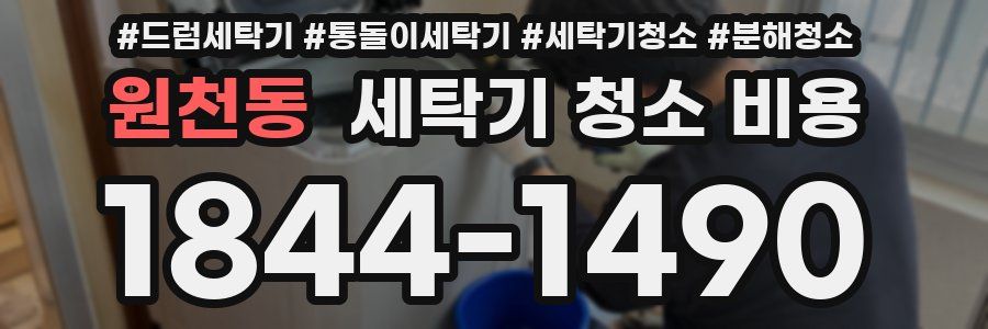 원천동 세탁기 청소 비용