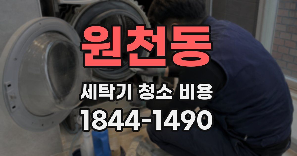 원천동 세탁기 청소 비용