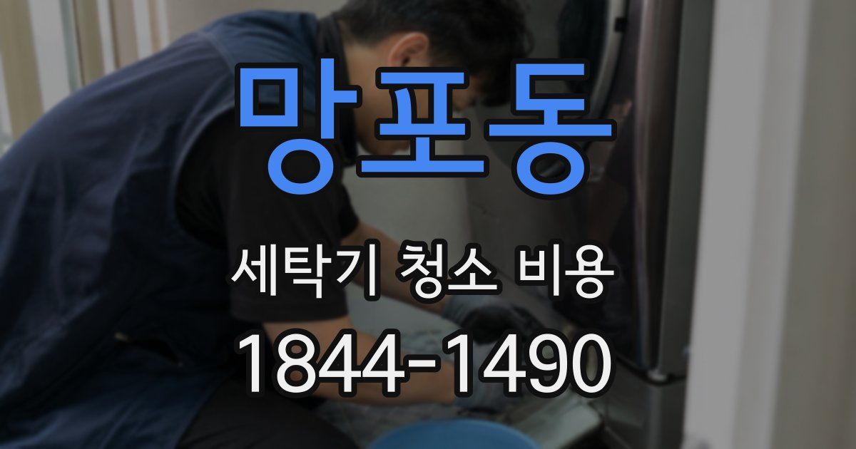 망포동 세탁기 청소 비용